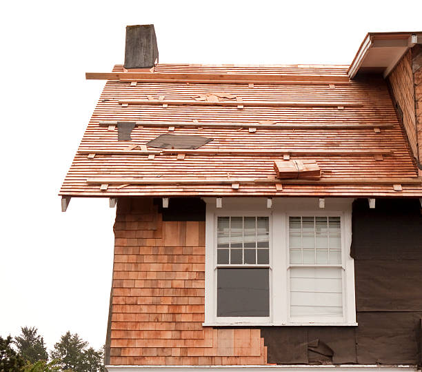 Best Historical Building Siding Restoration  in Grandview, MO